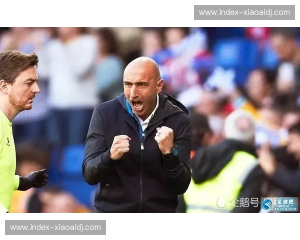 欧战区与降级区分化明显 中游集团多队已无欲无求