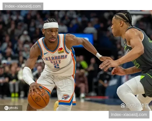 森林狼天赋与波动并存 爱德华兹兰德尔戈贝尔攻防